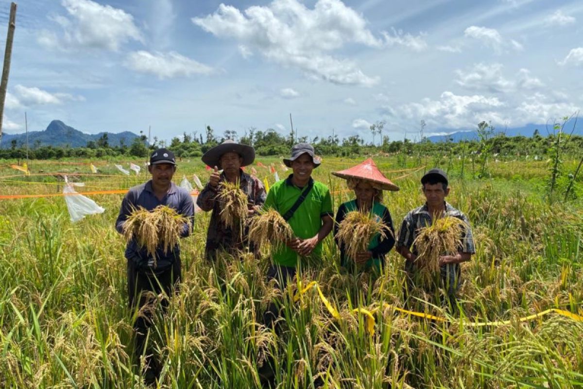 panen-raya