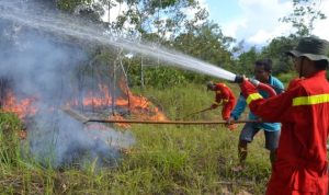 petugas-sedang-berusaha-memadamkan-api-karhutla-dok-source-y-nlo1 (1)